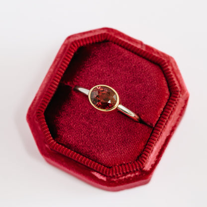 Anillo Rodolita con bisel de OA
